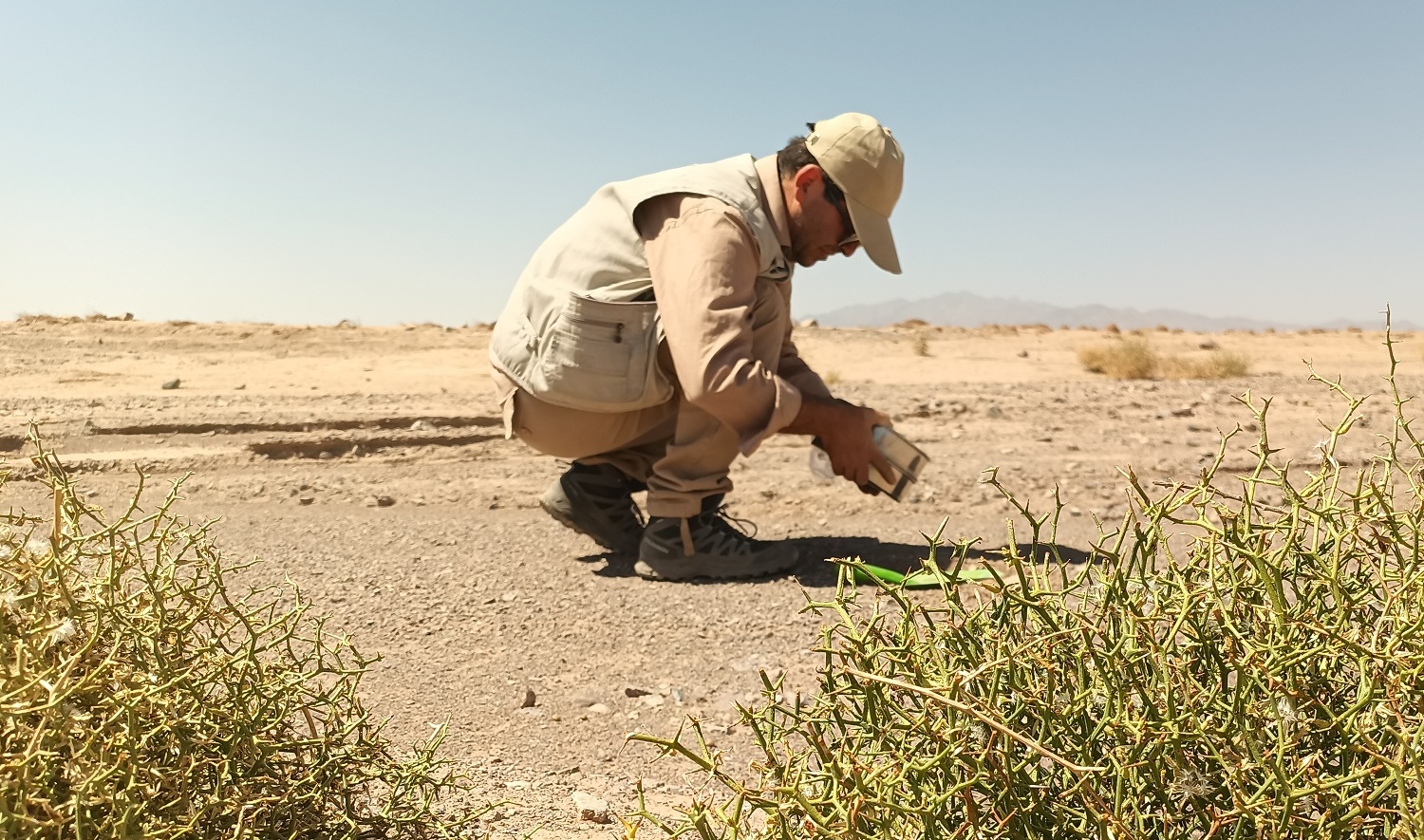 Holding a practical field trip to prepare geological and geochemical maps in Nain