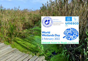 World Wetlands Day