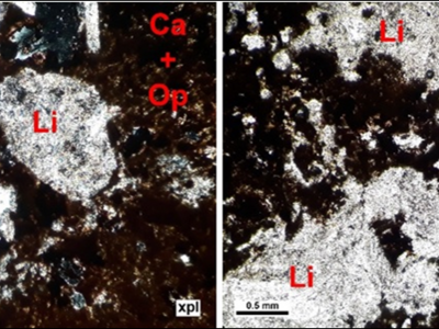 Determination of mineralization controlling factors of Fath-Abad deposit in sedimentary sequence (Roshtkhar - Khorasan Razavi) in related to oligiste (Iron ore), gold and barite exploration