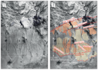 Study of Pardisan active fault and estimating its slip rate in NW Tehran 1