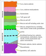 Petrology of the post-Eocene volcanic rocks in the north Naybandan, Lut block 1