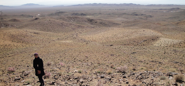 Studying of the formation environment and factor controlling of copper mineralization in the NE Narbaghi, Saveh.