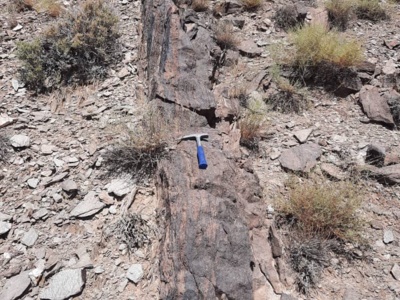 پژوهش، تحقیق و شناسایی مناطق دارای پتانسیل آهن در محدوده جغرافیایی ایران مرکزی به وسعت ۱۱۶۰۰۰